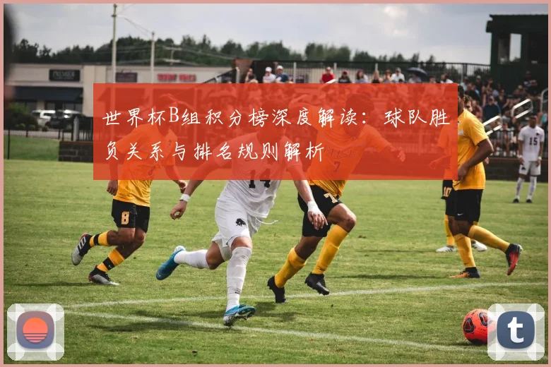 世界杯B组积分榜深度解读：球队胜负关系与排名规则解析