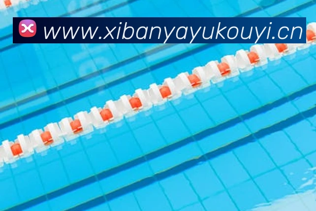 App Interface Preview